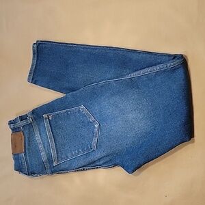 Madewell Size 29 Medium-Dark Wash 10" High Rise Skinny Blue Denim Jeans